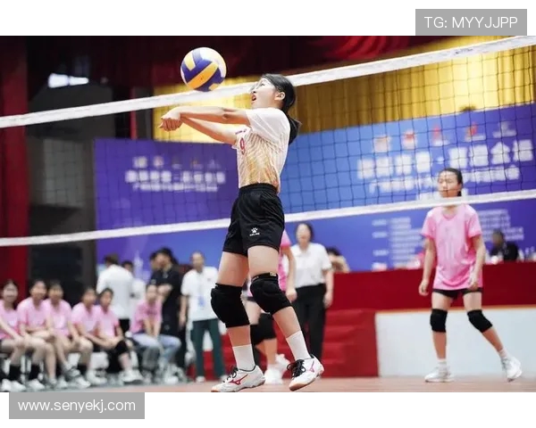 广州排球队团队协作能力大幅提升创新高引领全国排球新风潮